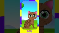 Koty dla dzieci - Kot bengalski #koty #bajkidladzieci #bajkiedukacyjne