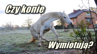 Dlaczego konie nie wymiotują?