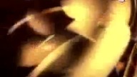 Program Drugi - Program dnia z 27 maja 1999 roku