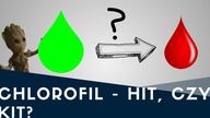 Lecznicze właściwości CHLOROFILU? Hit, czy kit?