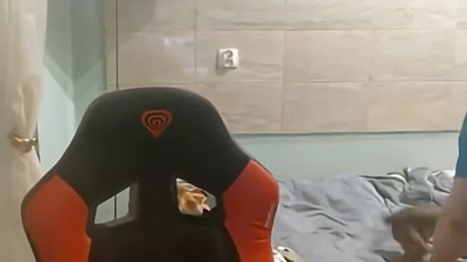 Jasper i Miśka #dawidjasper #jasper #funny