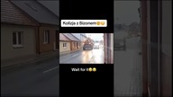 Kolizja z Bizonem #matheo780