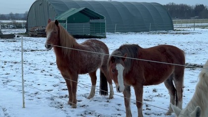 13189902 1920 1080 30fps