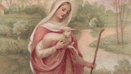 Z kalendarza liturgicznego: 4 września - wspomnienie N.  M.  P.  Matki Dobrego Pasterza