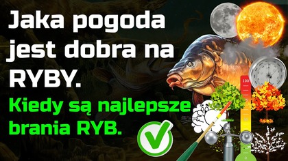 Jaka pogoda jest dobra na RYBY - Kiedy najlepsze brania ryb