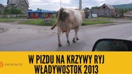 W pizdu na krzywy ryj [Władywostok 2013] - Buriacja (odc.  8)