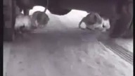 Awaryjne łańcuchy na koła