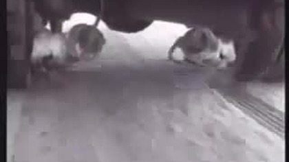 Awaryjne łańcuchy na koła