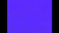 Comando Tvn z Piratem . VID-1712345273254
