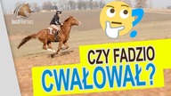 Czy Fadzio Cwałował? Oceńcie sami!