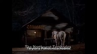Due South....S04E11
