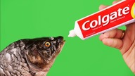 11 GENIUS TOOTHPASTE LIFE HACKS AND PRANKS