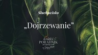 Słuchowisko #3 | Dojrzewanie | Krótki poradnik jak ogarnąć życie [PODCAST]