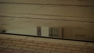 kodzukinas visual diary