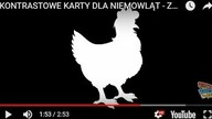 OBRAZKI, KARTY KONTRASTOWE DLA NIEMOWLĄT - Zwierzęta
