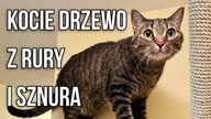 Kocie Drzewo z Rury Kanalizacyjnej i Sznura - MyProdżekts