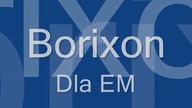 Borixon - Dla EM