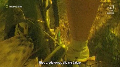 Yaro i Reni Jusis - Rowery Dwa (Kino Polska Muzyka)