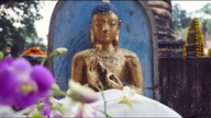 What is the Monlam (Aspiration ) teaching by H. H.  The Gyalwa Karmapa
