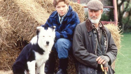 Owd Bob (1998) 