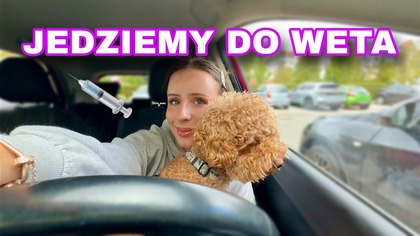 JEDZIEMY DO WETERYNARZA