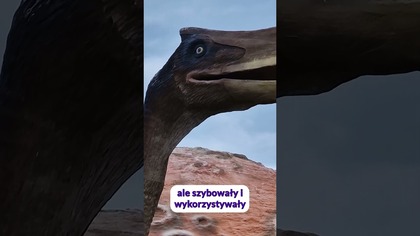 Jak latały największe pterozaury? #paleontologia #jurapark