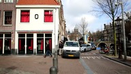 #HoiPolonia Zapowiedź Świadectw z Eindhoven #PolskaIskraNaZachodzie #Żyźniewska