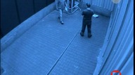 Alfabet. Mafii. S01E05. Prawda. Oczki.pl. PDTV. XviD-Brzydal. (oslo