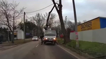 Centymetry od tragedii!  #shorts #wycinka #droga #bezpieczeństwo #PolscyKierowcy