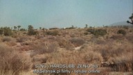 Bobbie. Jo. And. The. Outlaw. 1976.plsubbed. 1080p. Bluray. H264. AAC-FN