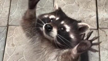 Kolega, na wyjeździe.