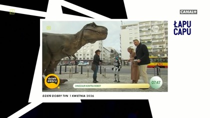 Łapu Capu (2 kwietnia 2026)