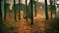 Zdonov (CZ)-Ruiny nieZŁEGO XVII w.  kościoła.