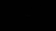 Sputnik [2020][Web-DLL][rus][No subtitles]
