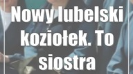 Nowy lubelski koziołek.  To siostra szarytka