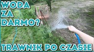 Na Działce! Vlog odc. 13 Woda za darmo na działce? Trawnik po miesiącu #Majster Amator