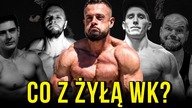 TAJEMNICZY ZAGINIONY CZŁONEK WK