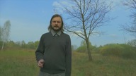 Czy Kafkę zabił wegetarianizm?