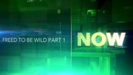 RTDOC [RU] - 26-01-2021 - Autopromocja