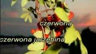 Karaoke Biesiada - Czerwona jarzębina ver. 2