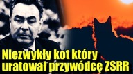 Radziecki przywódca posiadał kota o zdolnościach nadprzyrodzonych!