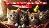 1936. Tajemnicze Niewyjaśnione Moce Kot&oacute;w!!! Tego Nie Wiedziałeś!