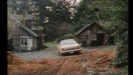 Pokarm bog&oacute;w vhsrip 1976 lektor