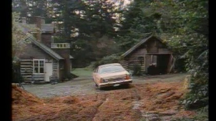 Pokarm bog&oacute;w vhsrip 1976 lektor