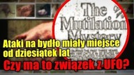 FBI interesowało się okaleczeniami zwierząt przez UFO
