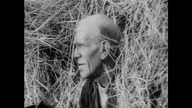 Film polski- Czerwone i złote (1969)