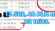 Profity za sprawy karne