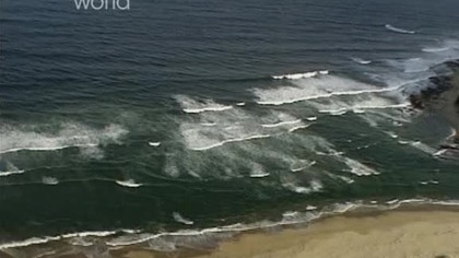 Dinozaury z głębin (2000) [Lektor PL]