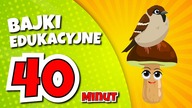 Bajki edukacyjne | Grzyby i ptaki | 40 minut
