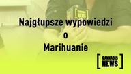 Najgłupsze wypowiedzi o marihuanie [KOMPILACJA VIDEO]